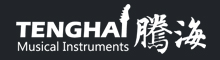 Guangzhou Tenghai Musical Instrument Co., Ltd.